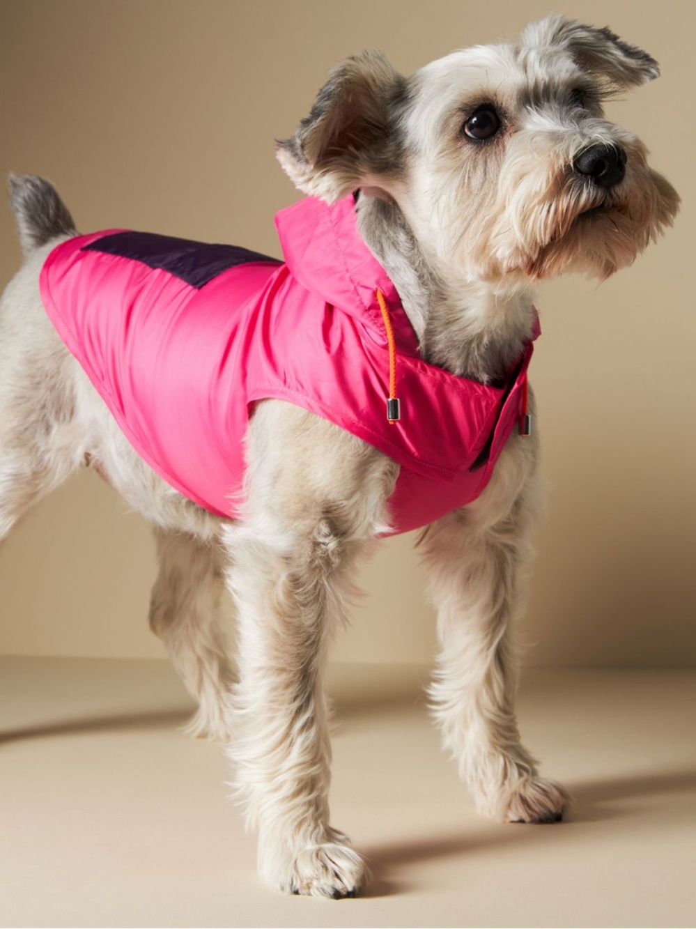 Anthropologie Ware of The Dog | Pink Dog Rain Jacket with Hood
